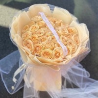 ʹʻٵ