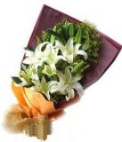 ʹʻٵ